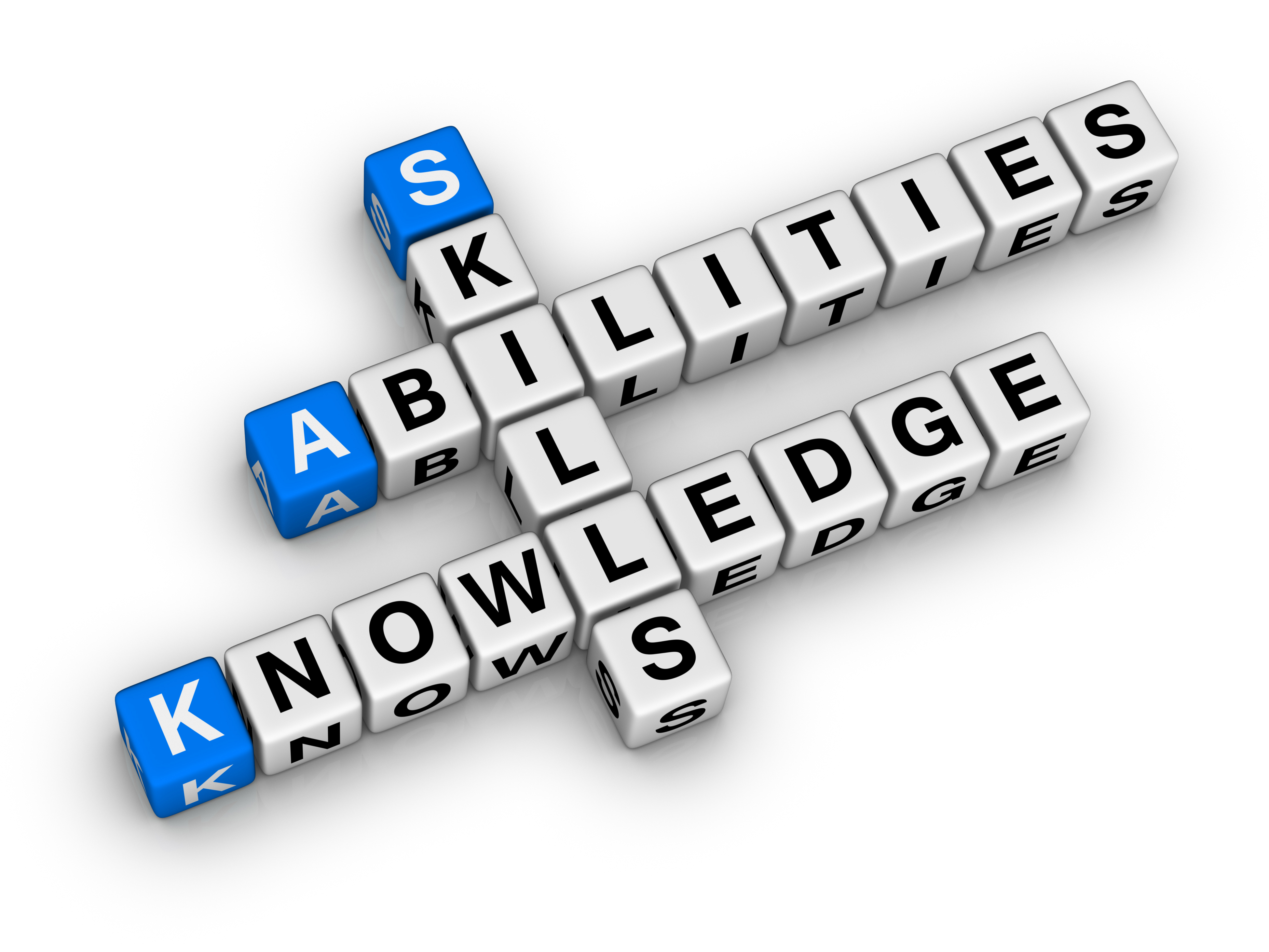 skills/knowledge (shutterstock_73631452)
